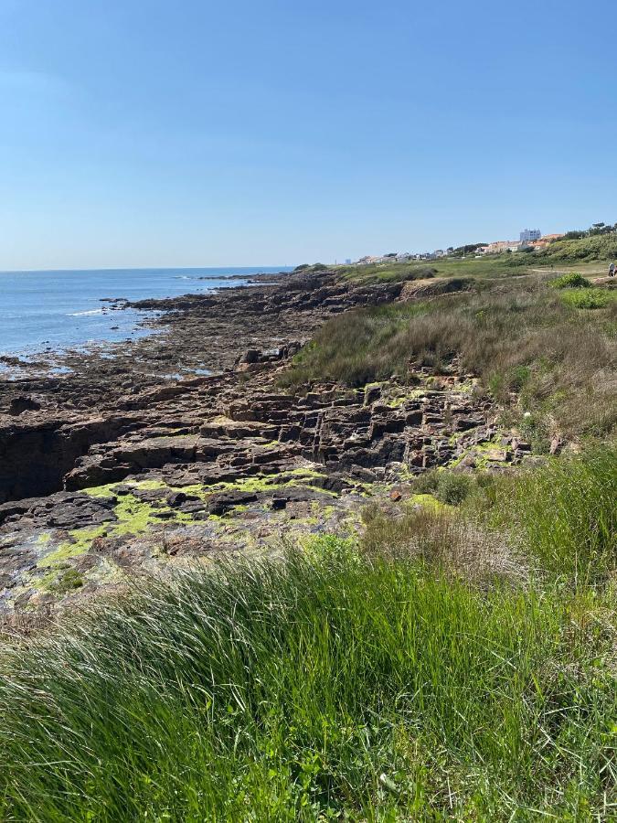 Appartement 4 Personnes Vue Sur Mer La Pironnière エクステリア 写真